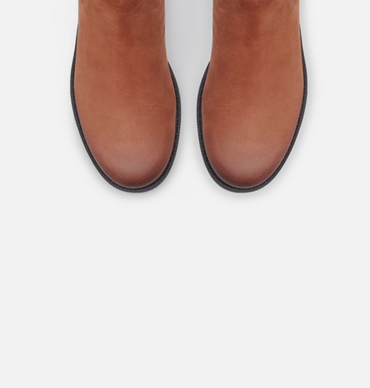 Womens Booties Dark Brown - Sorel Ainsley™ Chelsea Low - 015-FLYONG